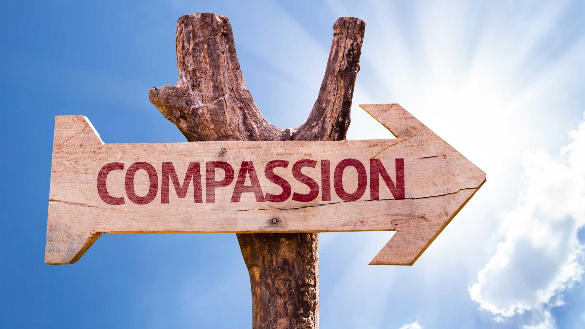 Define The Word Compassion Fatigue