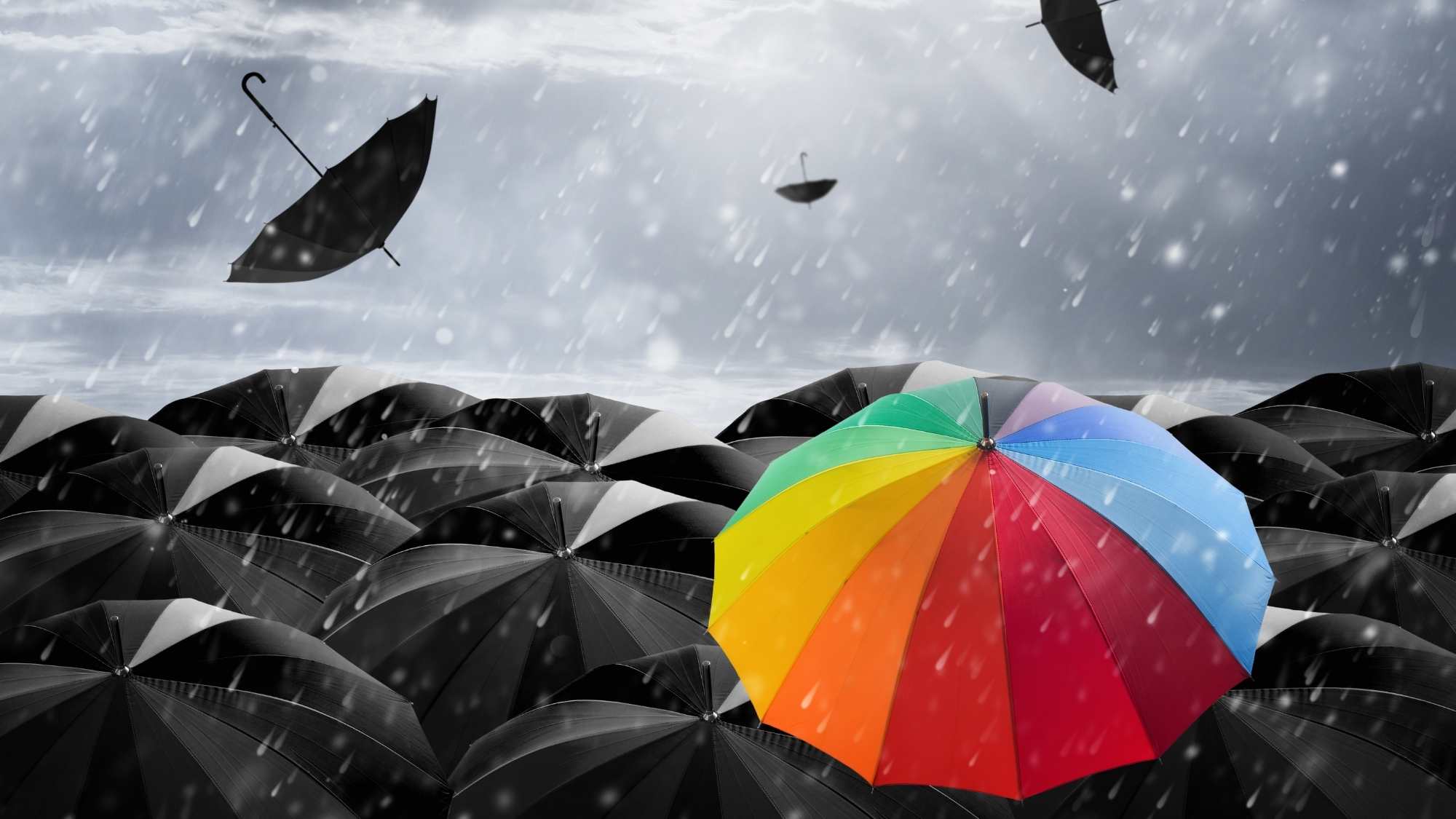 Rainbow umbrella amongst black umbrellas in a storm