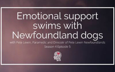 Emotional support swims with Newfoundland dogs – with Pete Lewin