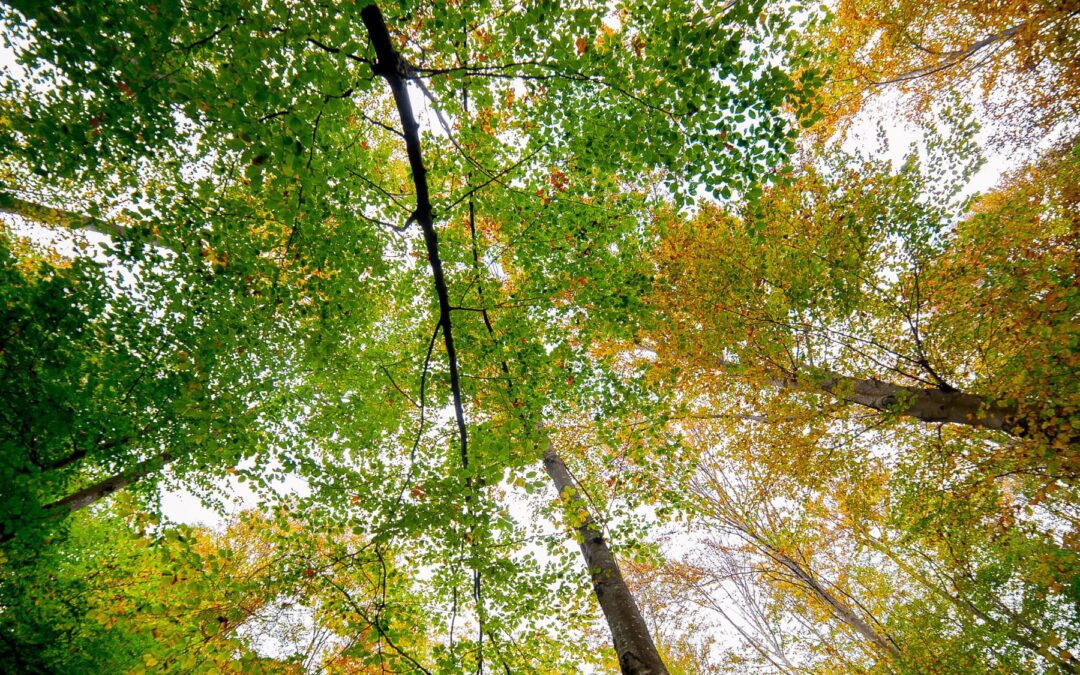 How health professionals can manage stress with mini mindful moments